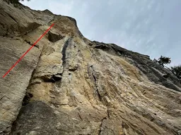 Beccami sul Becco