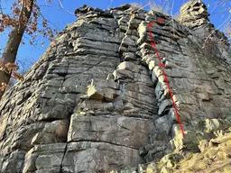 Papouščí hrana