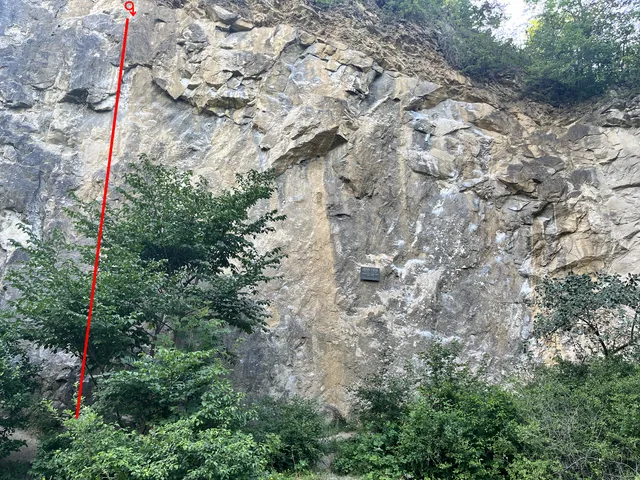 Tarpan