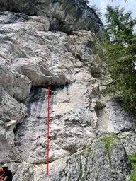 Longweilige L1