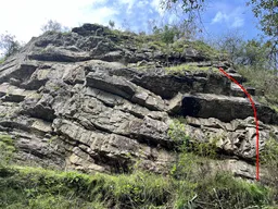 Cunochão