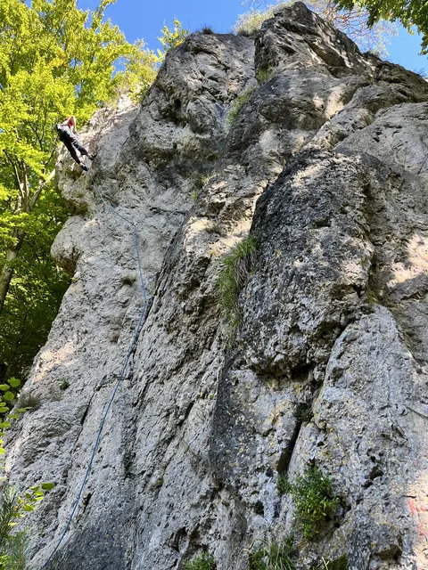 Brosinnadel