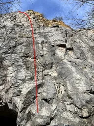 Štěpánův sokolík