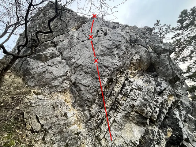 Poslední šiška
