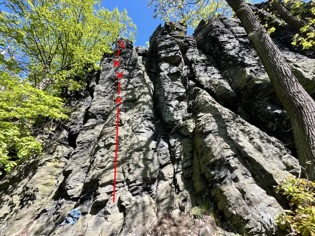 Zlaté oko