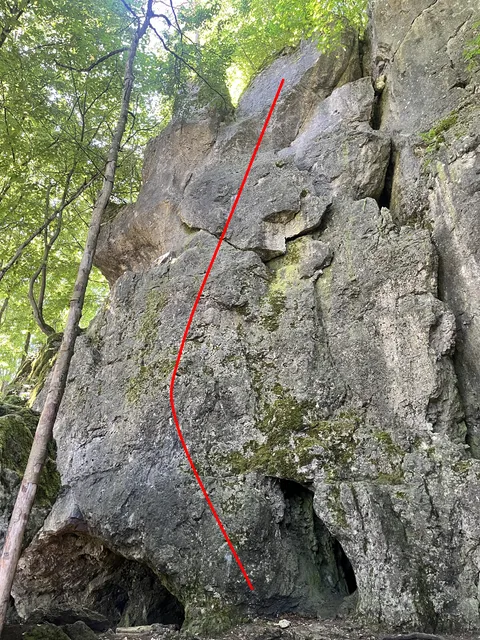Schlaumeier
