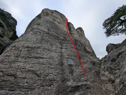 Pichlriß