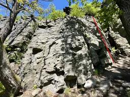 Plotnička