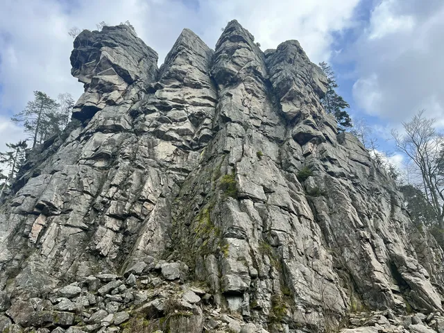 Čtyři palice