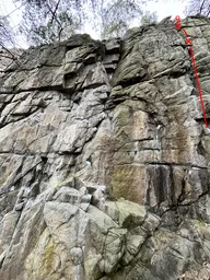 Velrybářská výprava