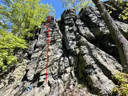 Zlaté oko