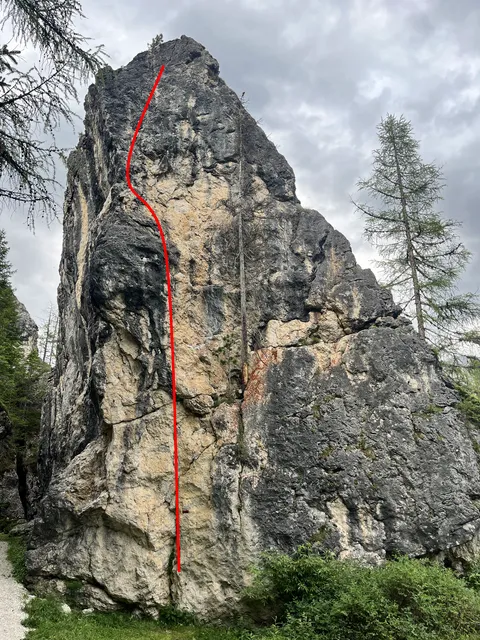 Pino solitario
