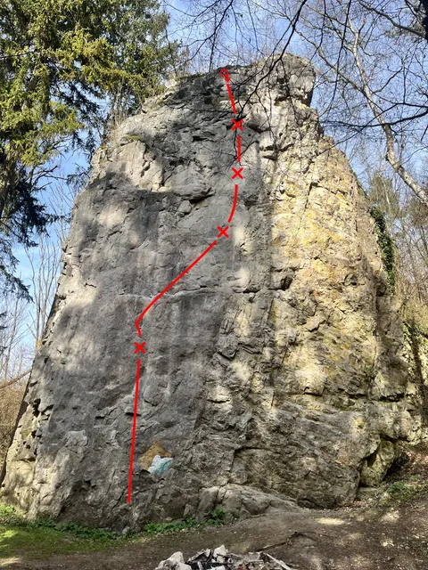 Psí život