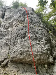 Bierkutscher