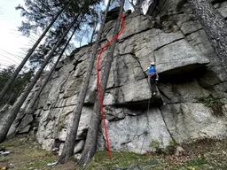 Dir. Uloupený sokolík