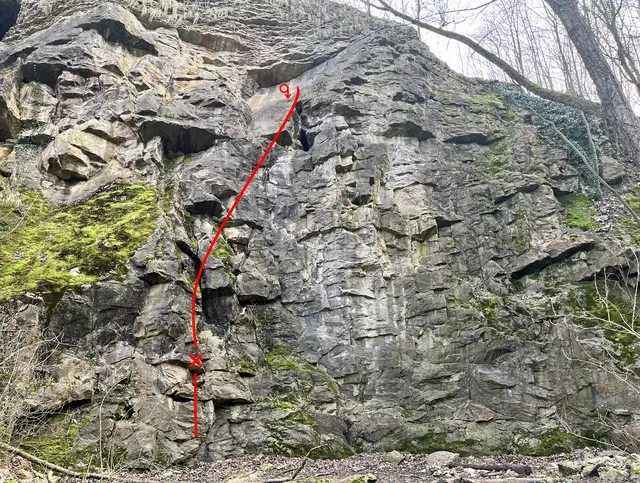 Frňákovník