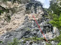 Spargeltarzan L1