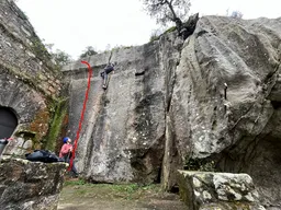 Diedro Artea