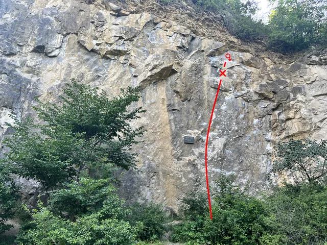 Pískové oči