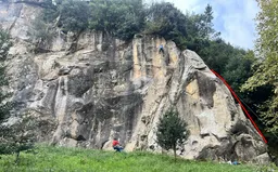 Proa