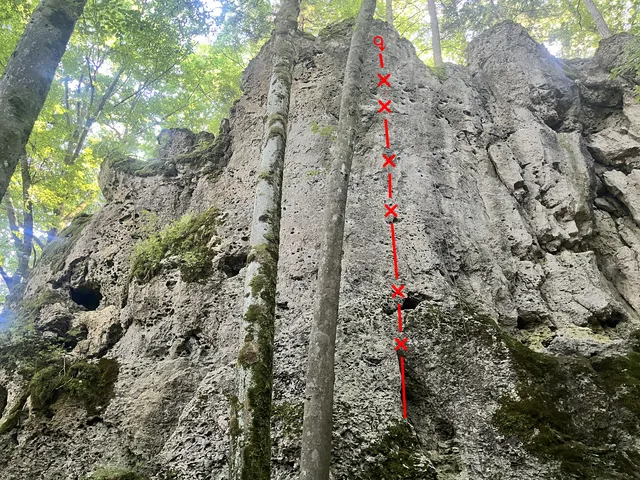 Glückliche Elfe