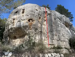 Picciriddina