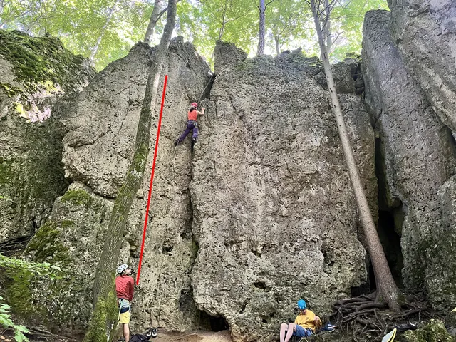 Sportkreisel