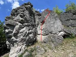 Verschneidung