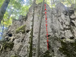 Glückliche Elfe