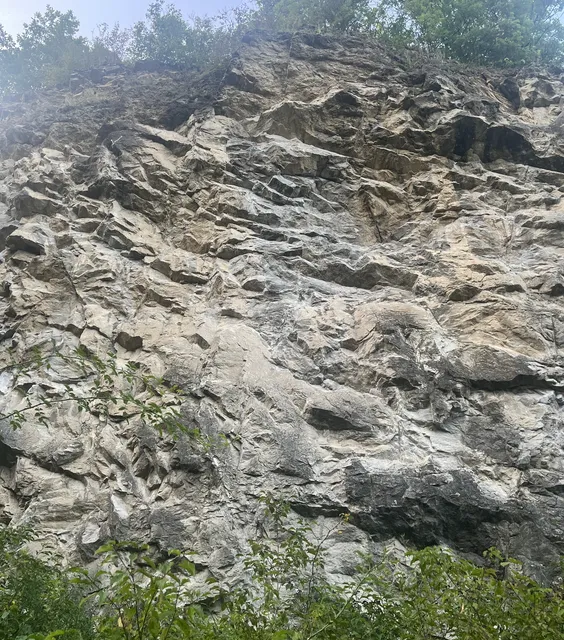 Bonzák