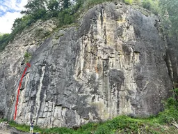 Piluju Miškoty