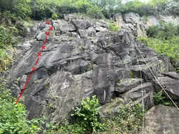 Třešňová