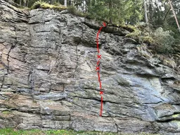 Cea