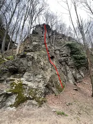 Drachenkralle