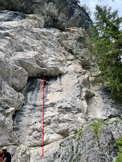 Longweilige L1