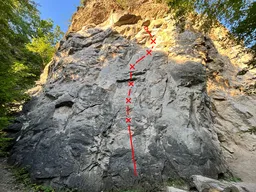 Cácorka