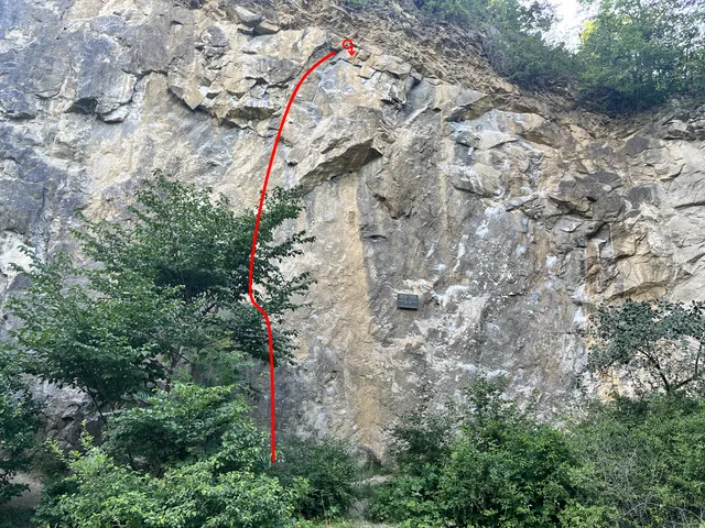 Duální svět