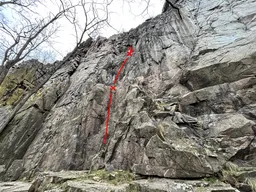 Cesta pro Borynku