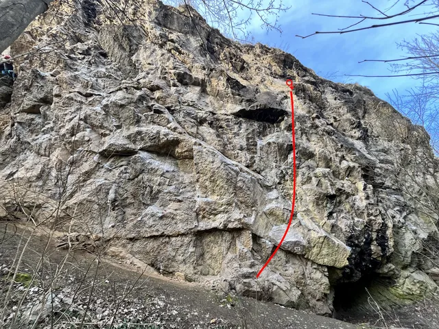 Dlouhé vlasy