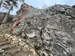 Vavřinecká