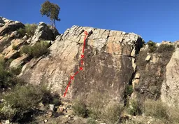 Replicantes del Espacio Exterior