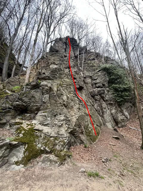 Drachenkralle
