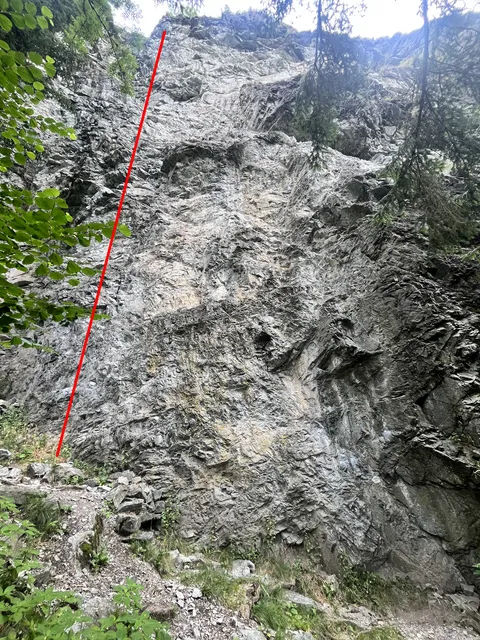 Die kurze