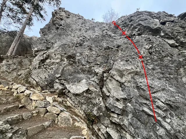 Fialková