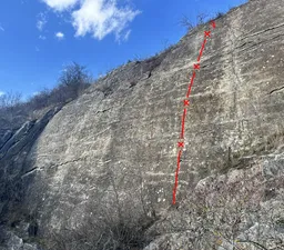 Zvlněná cesta