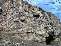 Kozy zdržují