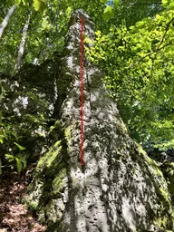 Blaue Zipfel