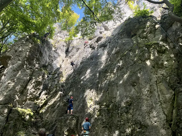 Stierberger Gemsenwand