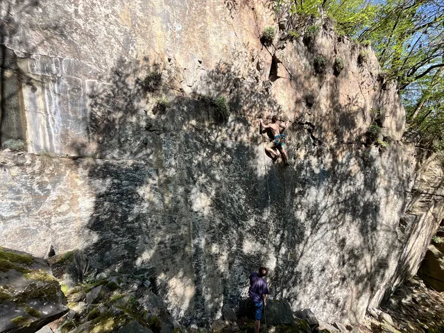 Stínadla